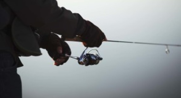 Regras para a Pesca Amadora em Cananeia